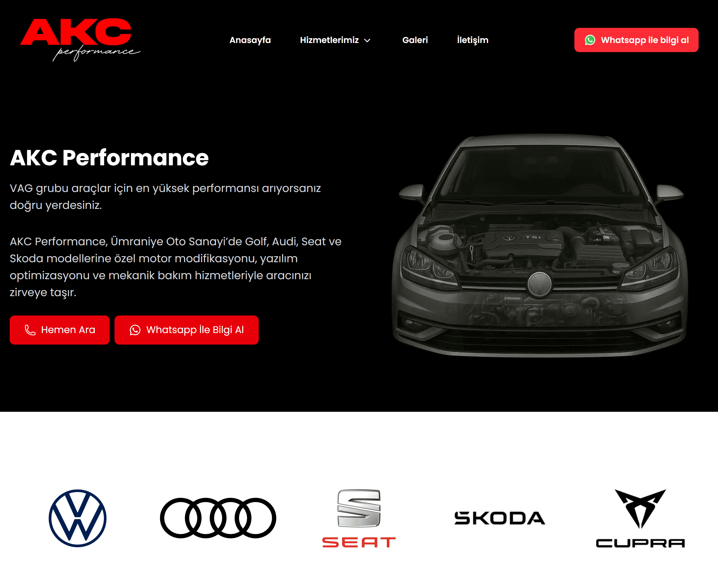 AKC Performance